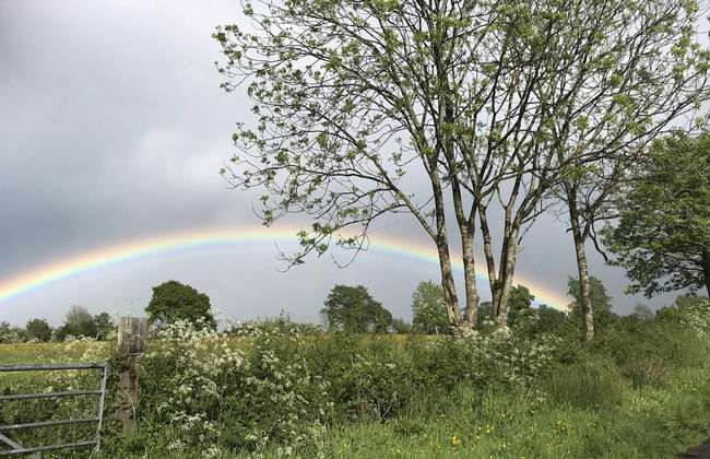 Wonderful 4 Bedroom Cottage Sleeps 8 - Foto 27