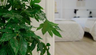 IRIS' Garden Retreat - Foto 3