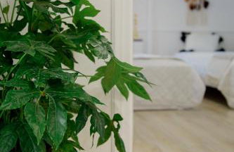 IRIS' Garden Retreat - Foto 3