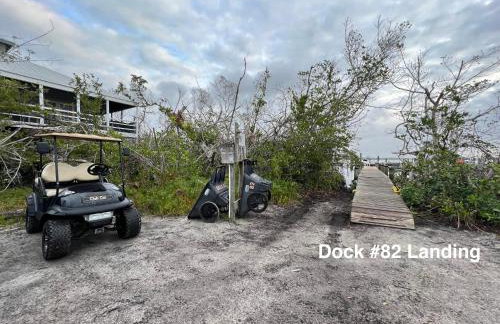 Family Tides on LGI - Golf Cart Included - Photo 55