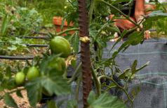 Apartamentos la Jayma del Arte - Foto 22