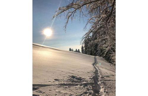 Holiday Apartment Schwärzler - Foto 26