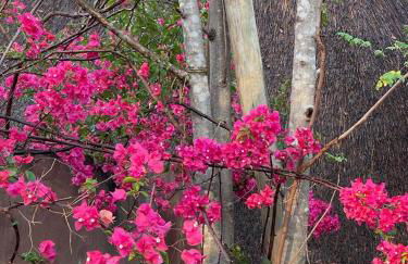 Apartment Eden Park - Photo 26