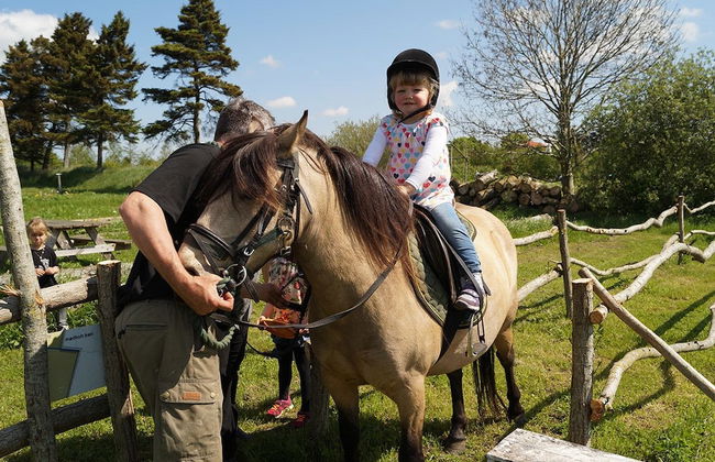 Nymarksminde Apartments & Farmpark - Foto 34