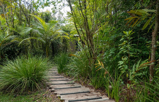 Whispering Valley Cottage Retreat - Photo 53