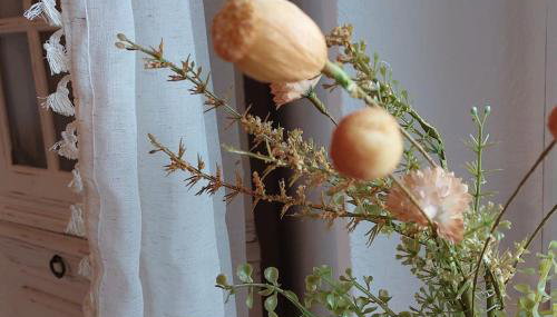 House of Haiger Ferienwohnung mit Charme - Foto 5