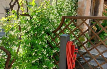 cottage lavanda e rosmarino - Foto 34