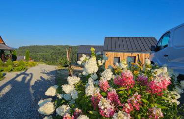 Stodoły w Bieszczadzie domy z basenem i widokiem na góry - Photo 79