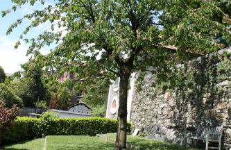 cherryhome - Photo 15