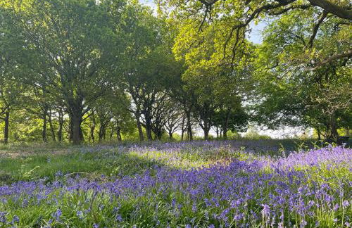 Pheasant Lodge - Photo 27