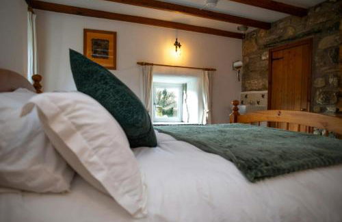 Ty Moch Bach Fishguard - Foto 16