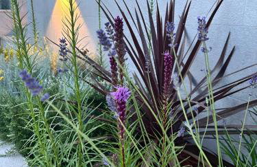 V Residence Apartments - Foto 3