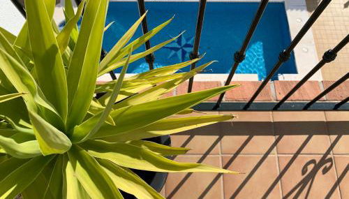 Playa Burriana, Stor terass, havsutsikt, pool - Foto 4