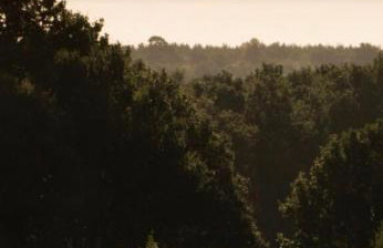 The Dragon Pad Boutique Apartment - Foto 68