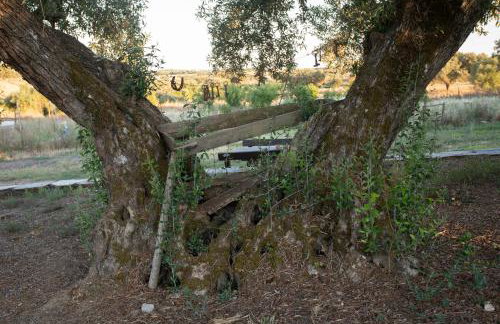 Herdade da Yucca - Retreat & Spa - Foto 50