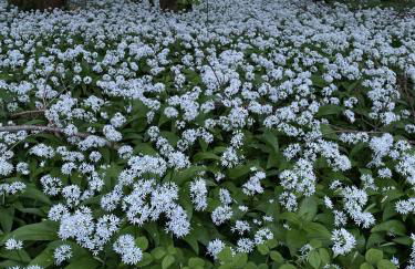 Tig Cottage - a rural, quirky, pet friendly 2 bedroom cottage near Ballantrae - Foto 51