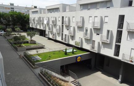 Cvit Jadrana - Foto 24