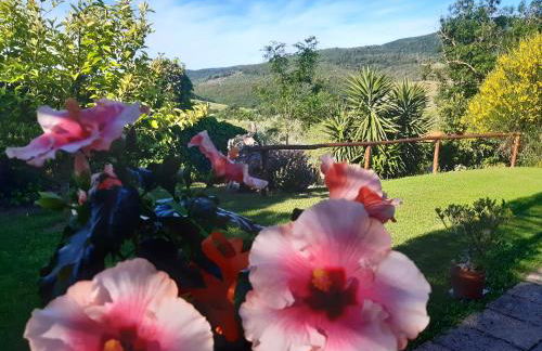 Agriturismo Colleverde Capalbio - Foto 42