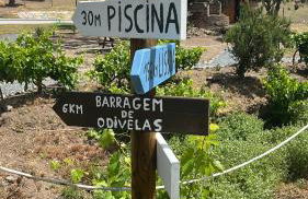 Herdade dos Sepol - Foto 24