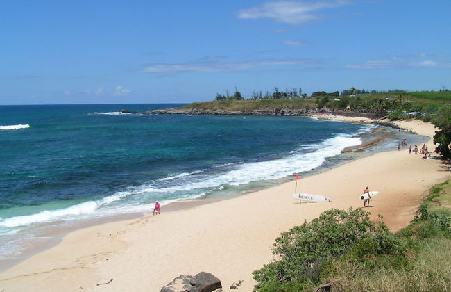 Hawaiian Dream Temple - Foto 23