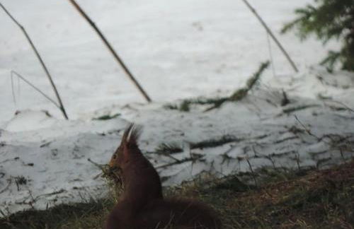 Chalet entier, vue panoramique, ruisseau et sauna. - Foto 30