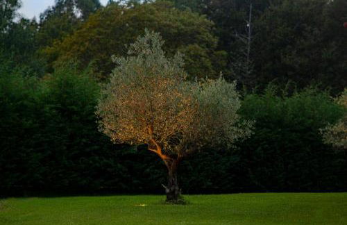 Casas d'Oliva - Foto 12