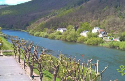 Le Balcon sur la Meuse - Foto 20