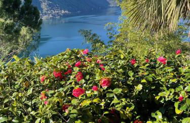 Historic villa with magnificent lake views - Foto 36