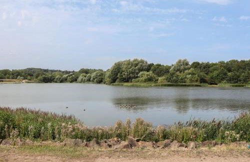 29 Ernest Dawes Avenue - Photo 35