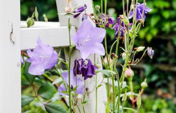 Romantic Cotswold Cottage- dog friendly and village location - Photo 13