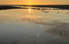 Appart front de mer, 5e étage - Foto 31