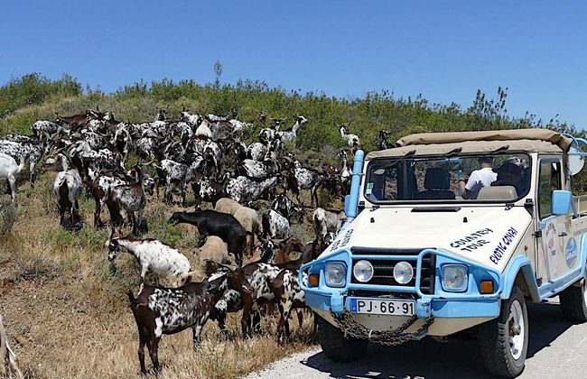 Tour en 4x4 por los pueblos del Guadiana - Foto 3