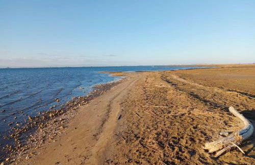 Rincón del Delta, apartamento en el Delta del Ebro, Playa Trabucador Amposta, Tarragona - Foto 24