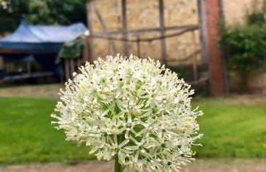 Waldmühle - Foto 43