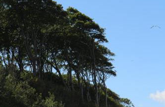 Ferienwohnung Nienhagen - Foto 24