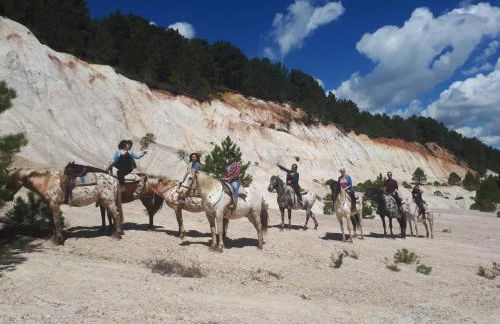 Entrada Río Lobos - Photo 47