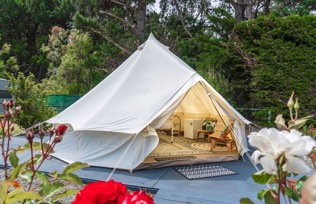 Leithfield Beach Holiday Park - Foto 5