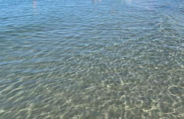 La Conchiglia sul Mare - Foto 64