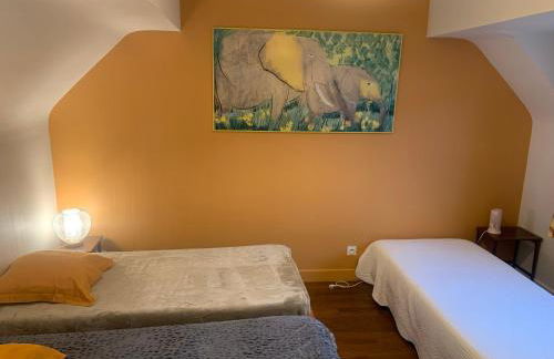 Les Amis de Beauval - Photo 28