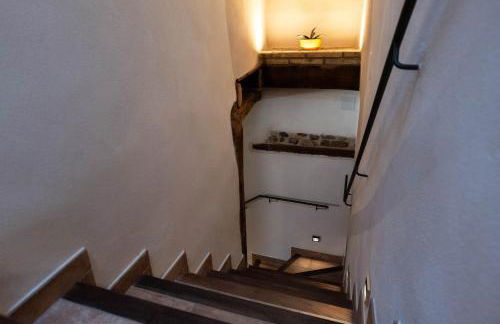 Niu de Queralt - Photo 17