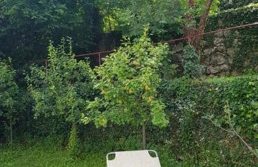 Villa Ella - Photo 51