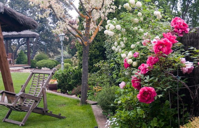 SAIKA Rural - Foto 30