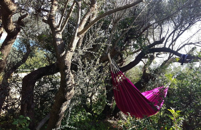 Luxury Beach Escape, Sea View Hottub,cinema Lounge - Foto 12