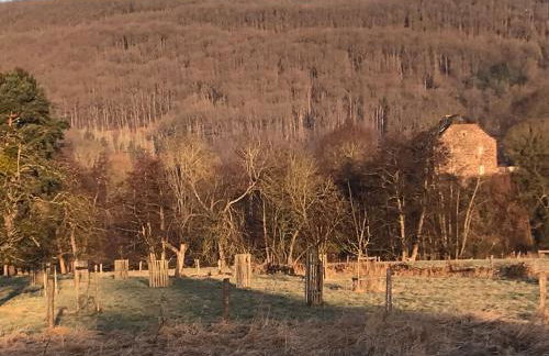 Ferienhaus Holz-Blockhaus Heimbach Blens Rureifel very cosy wooden Blockhome - Foto 64
