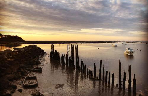 Cocon entre presqu'île du Cap Ferret et plages océanes - terrasse - 1 vélo gratuit - Foto 64