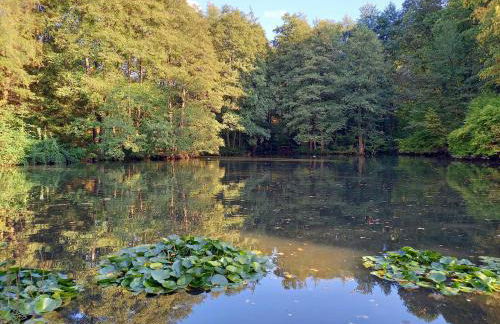 Ferienwohnung am Waldsee mit Schwimmbad - Foto 30