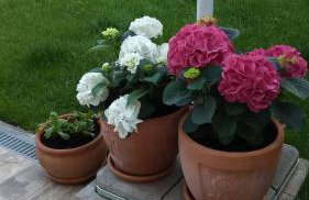 Apartment Nina - Foto 14