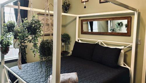 Mr. McGregor’s Garden - Foto 3