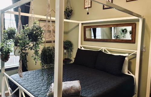 Mr. McGregor’s Garden - Foto 3