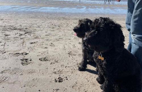 Golden Dunes Retreat, Dog-Friendly Stay at Par Sands Holiday Park, Cornwall - Photo 31